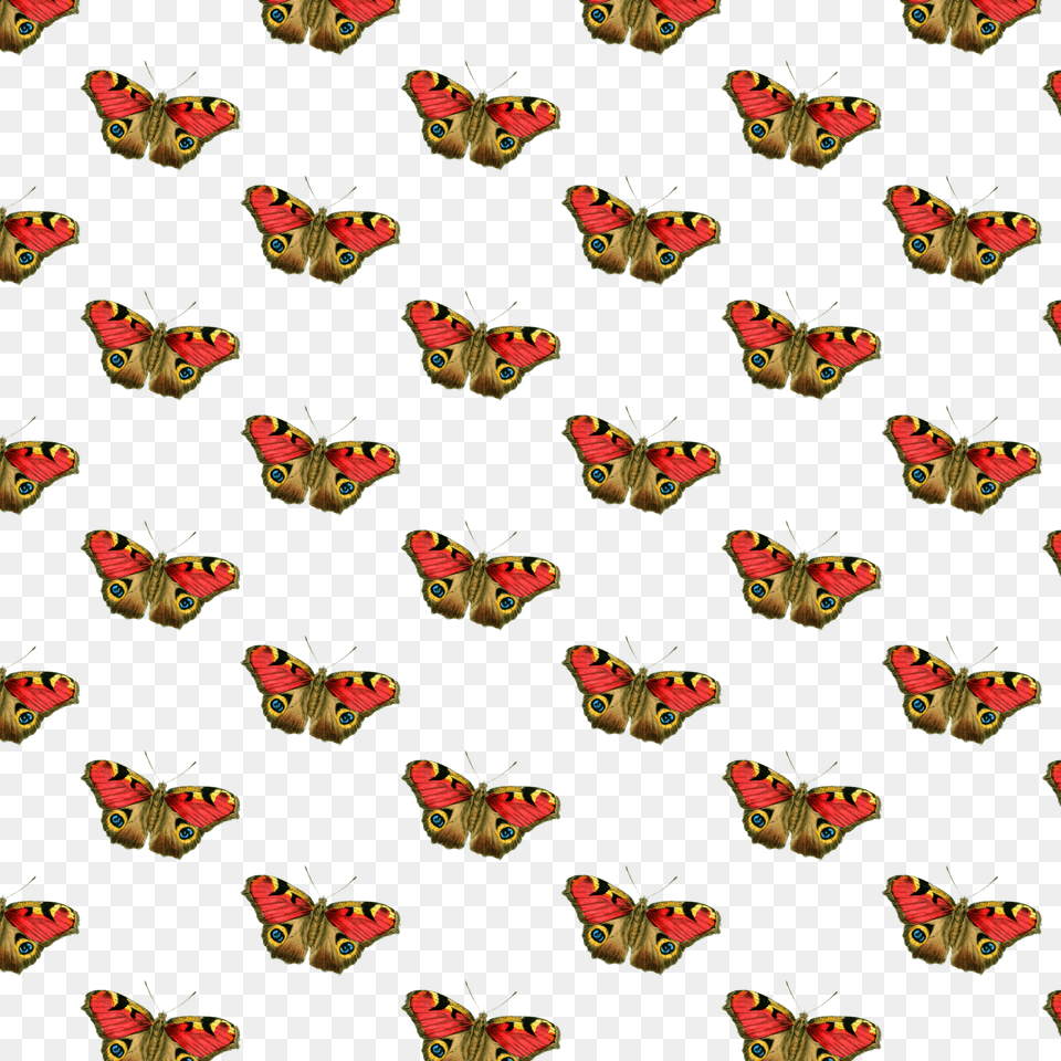 Butterfly Overlay Courtesy Of Hgdesigns Allah Byk, Pattern, Art, Graphics, Animal Free Png Download