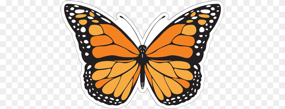 Butterfly Patch Different Colours Of Butterfly, Animal, Insect, Invertebrate, Monarch Free Png Download