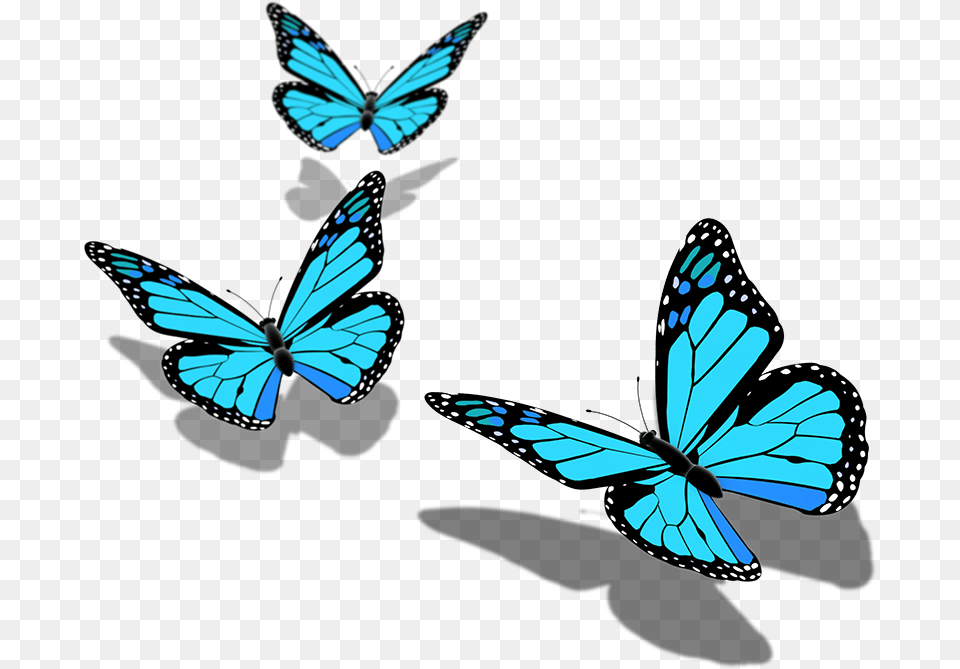 Butterfly Pic Hd Transparent Background Butterfly, Animal, Insect, Invertebrate Png