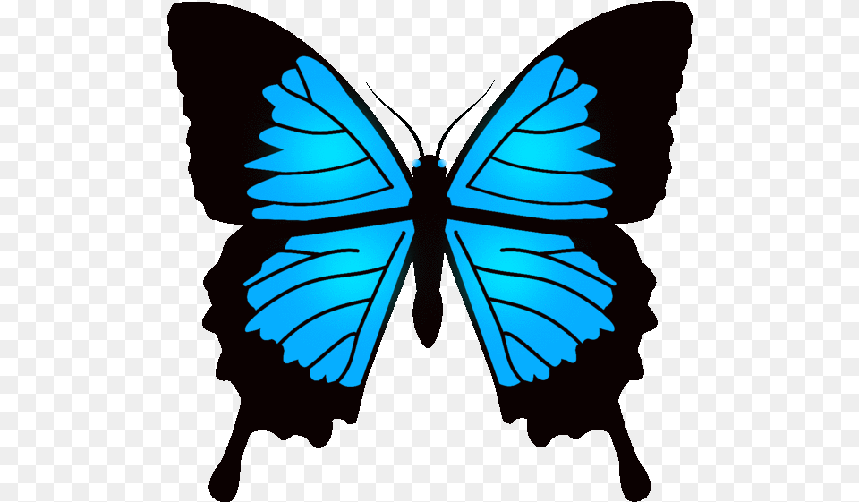 Butterfly Pics Animation Opengameart Org Preview Real Papilio Ulysses Butterfly, Leaf, Plant Png