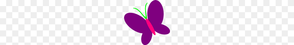 Butterfly Pictures Clip Art Clip Art, Flower, Plant, Purple Free Png Download