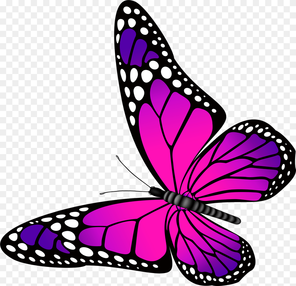 Butterfly Pink And Purple Transparent Pink And Purple Butterfly, Animal, Insect, Invertebrate, Art Png Image
