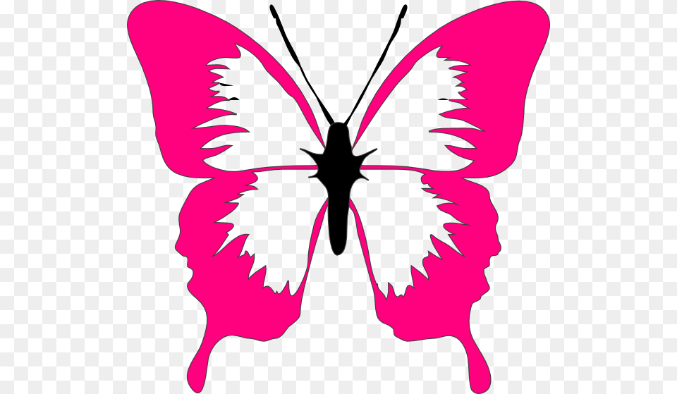 Butterfly Pink And White, Flower, Plant, Stencil, Baby Free Png Download