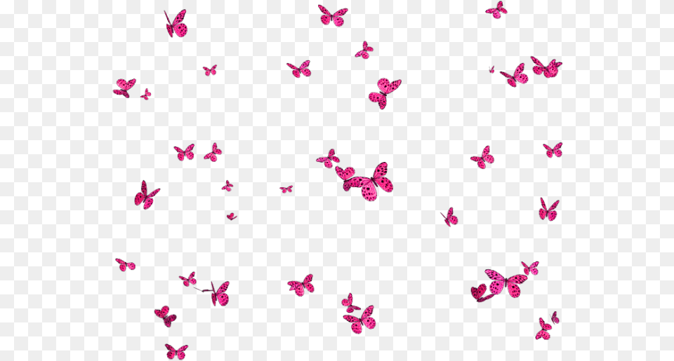 Butterfly Pink Background Butterflies Insect Ftestickers Fundo De Borboletas, Flower, Petal, Plant, Purple Free Transparent Png