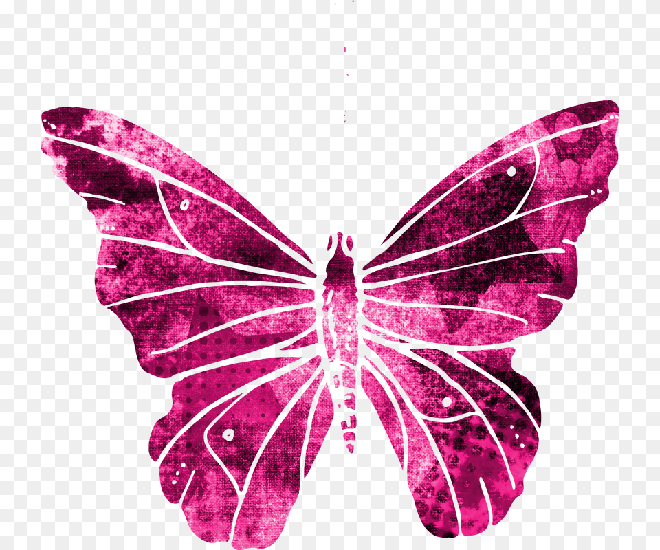 Butterfly Pink Clipart Cute Flying Wings Nature Flying Pink Butterfly, Purple, Person, Animal, Insect Free Transparent Png
