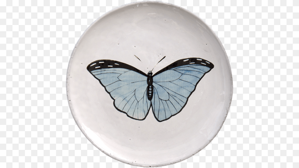 Butterfly Plate, Art, Porcelain, Pottery, Food Png Image
