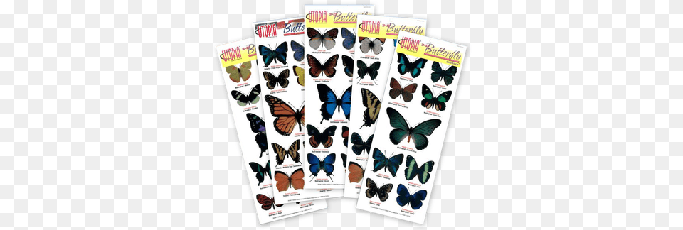 Butterfly Pop Up Stickers, Advertisement, Poster, Publication, Animal Free Transparent Png
