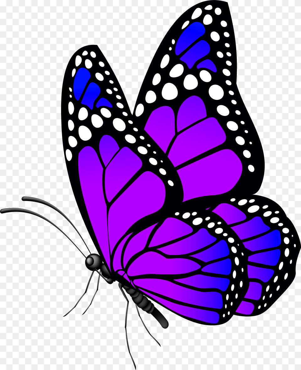 Butterfly Purple Clip, Animal, Insect, Invertebrate, Art Png Image