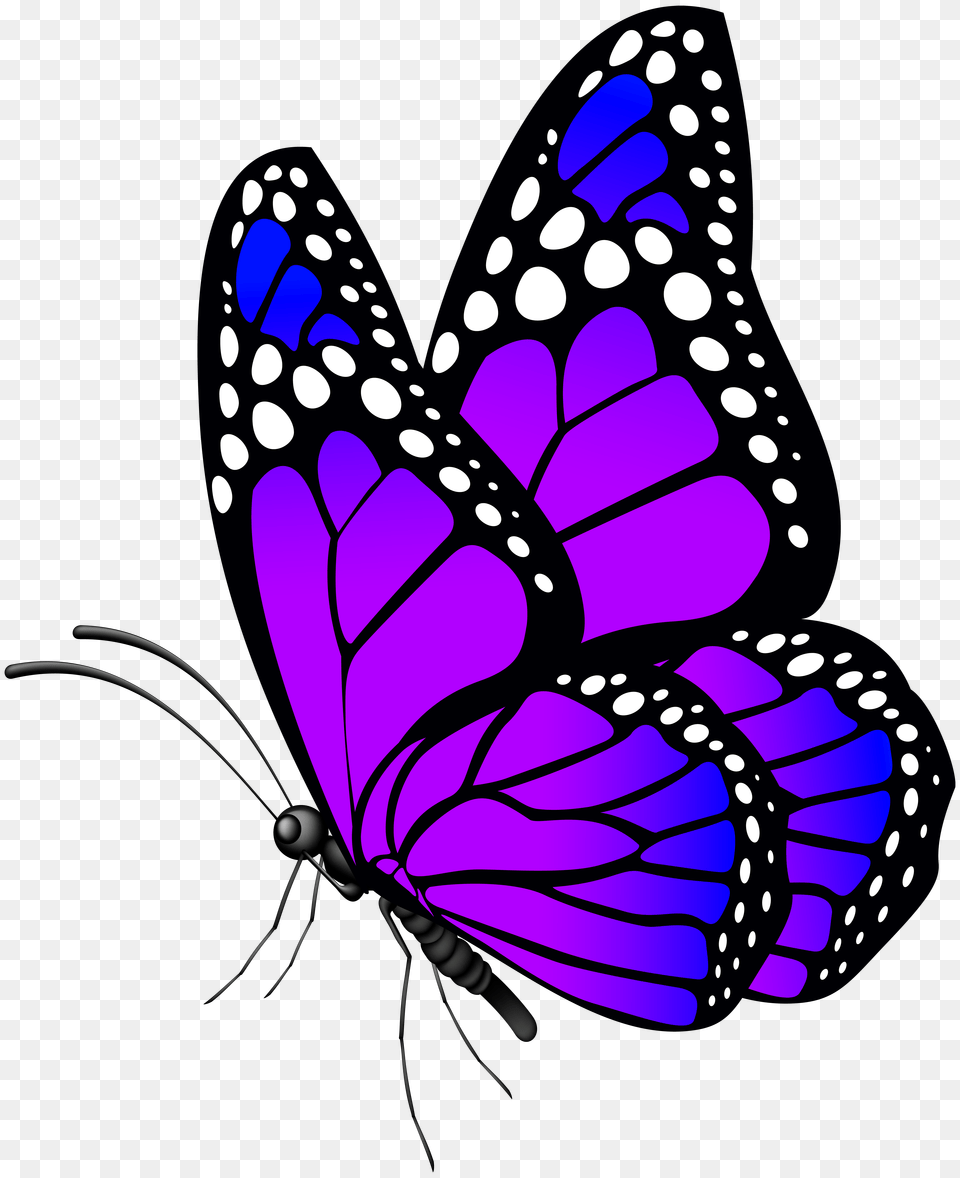 Butterfly Purple Clip Art, Animal, Insect, Invertebrate, Monarch Png Image
