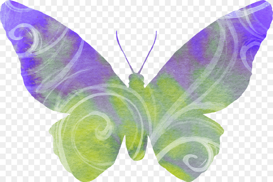 Butterfly Purple Green Clipart Cute Flying Wings, Person, Animal, Insect, Invertebrate Png Image