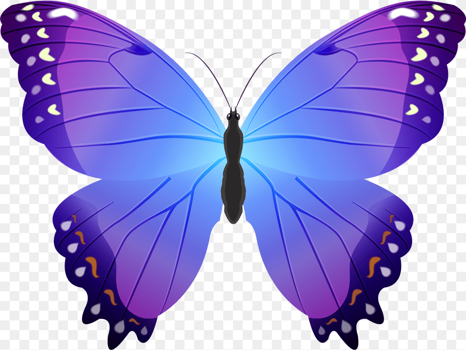 Butterfly Purple Transparent Clip Art Blue And Purple Butterfly Clip Art, Animal, Insect, Invertebrate, Person Png