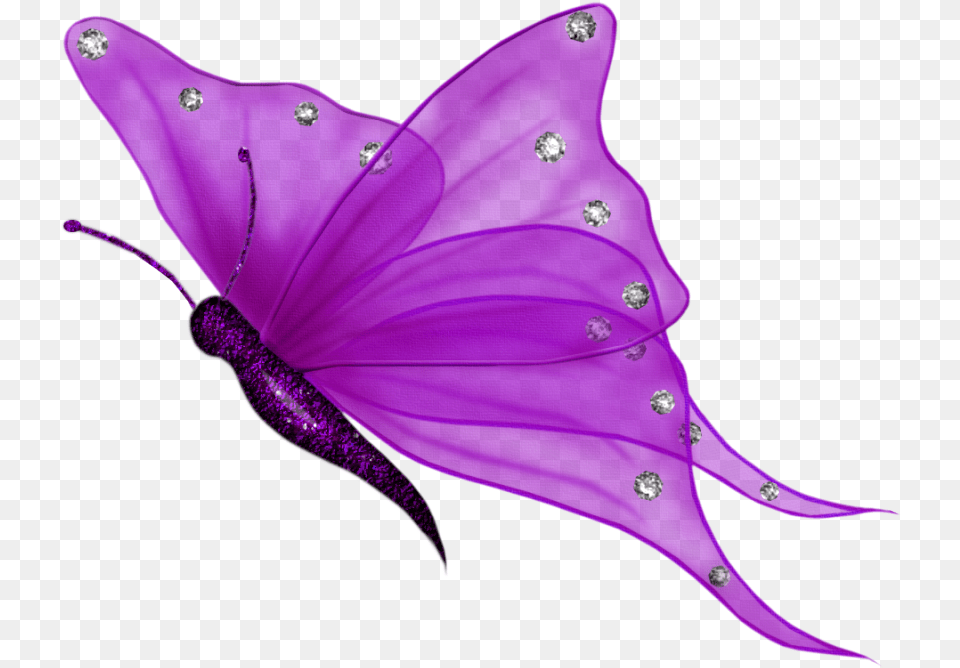 Butterfly Purple Wings Silver Wingedcreatures Shimmer, Accessories, Animal, Fish, Sea Life Free Transparent Png