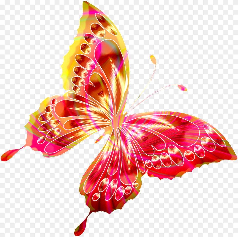 Butterfly Rainbow Bright Brightcolours Flutterby Illustration, Art, Flower, Graphics, Petal Free Transparent Png