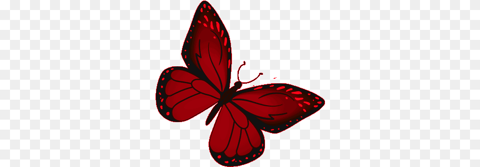 Butterfly Red Gif Butterfly Red Monarch Discover U0026 Share Red Butterfly Gif, Flower, Petal, Plant, Maroon Png Image