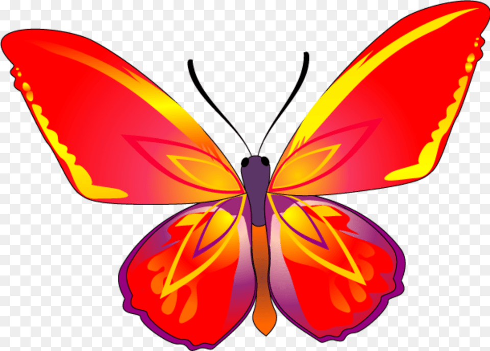 Butterfly Riodinidae, Flower, Petal, Plant, Art Png