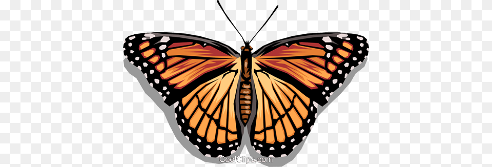 Butterfly Royalty Vector Clip Art Illustration Mariposa Monarca Para Recortar, Animal, Insect, Invertebrate, Monarch Free Transparent Png