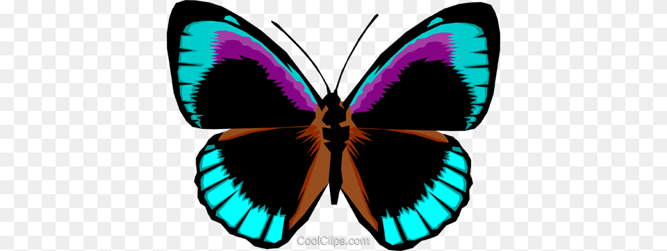 Butterfly Royalty Vector Clip Art Illustration Cool Butterflies, Animal, Insect, Invertebrate, Moth Free Transparent Png