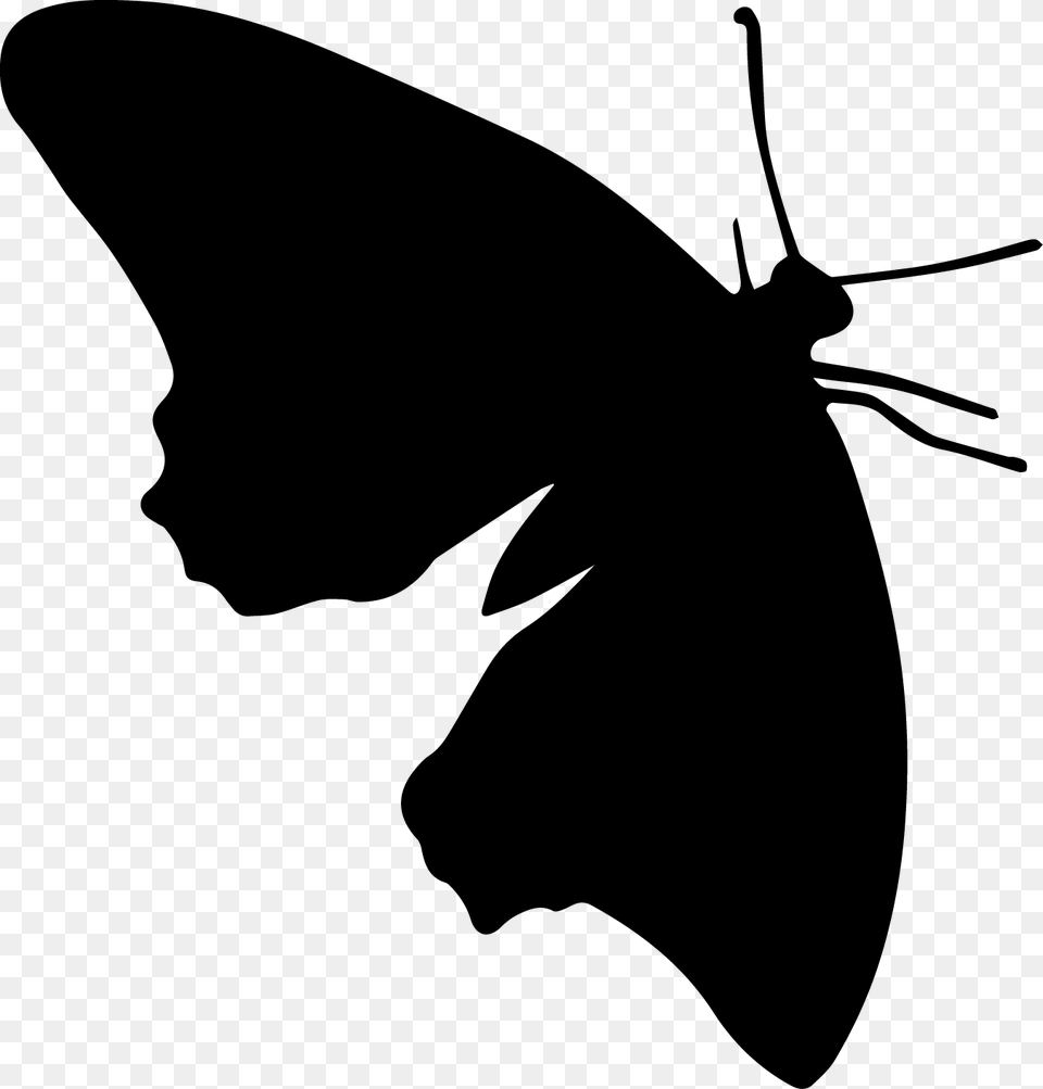 Butterfly Silhouette, Stencil, Animal, Kangaroo, Mammal Png