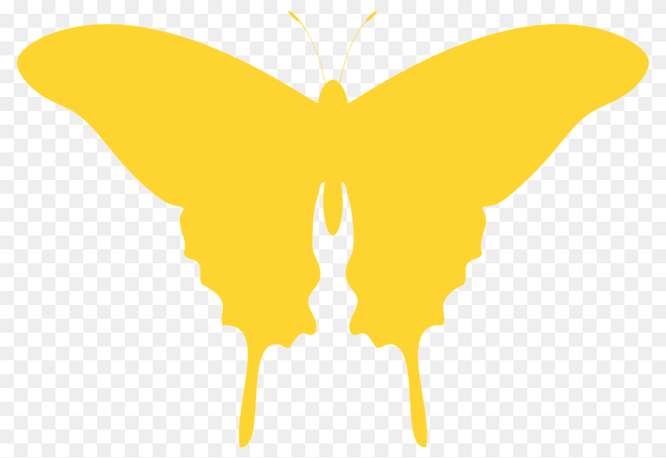 Butterfly Silhouette, Animal, Insect, Invertebrate, Moth Png Image
