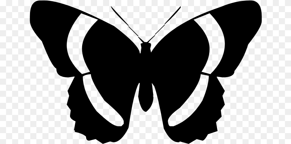 Butterfly Silhouette, Gray Free Png Download