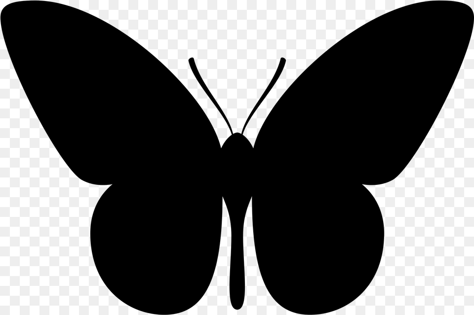 Butterfly Silhouette, Gray Free Png Download