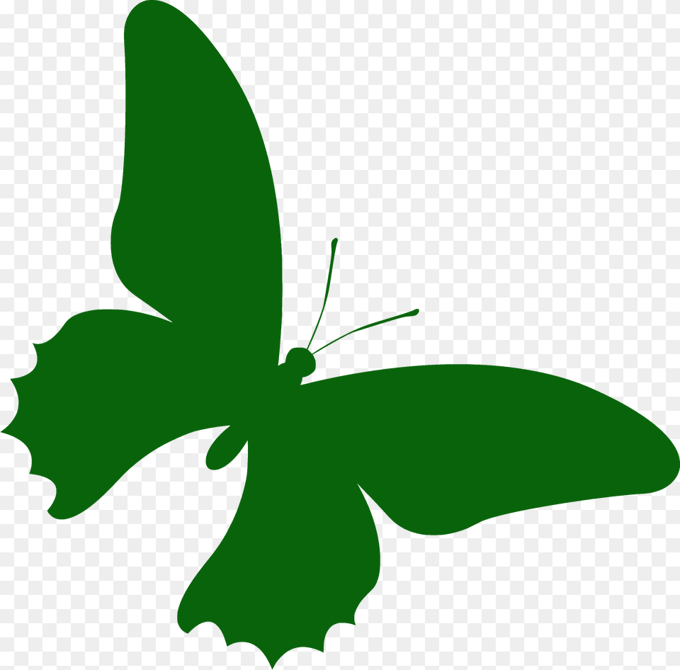 Butterfly Silhouette, Plant, Leaf, Flower, Green Free Png Download