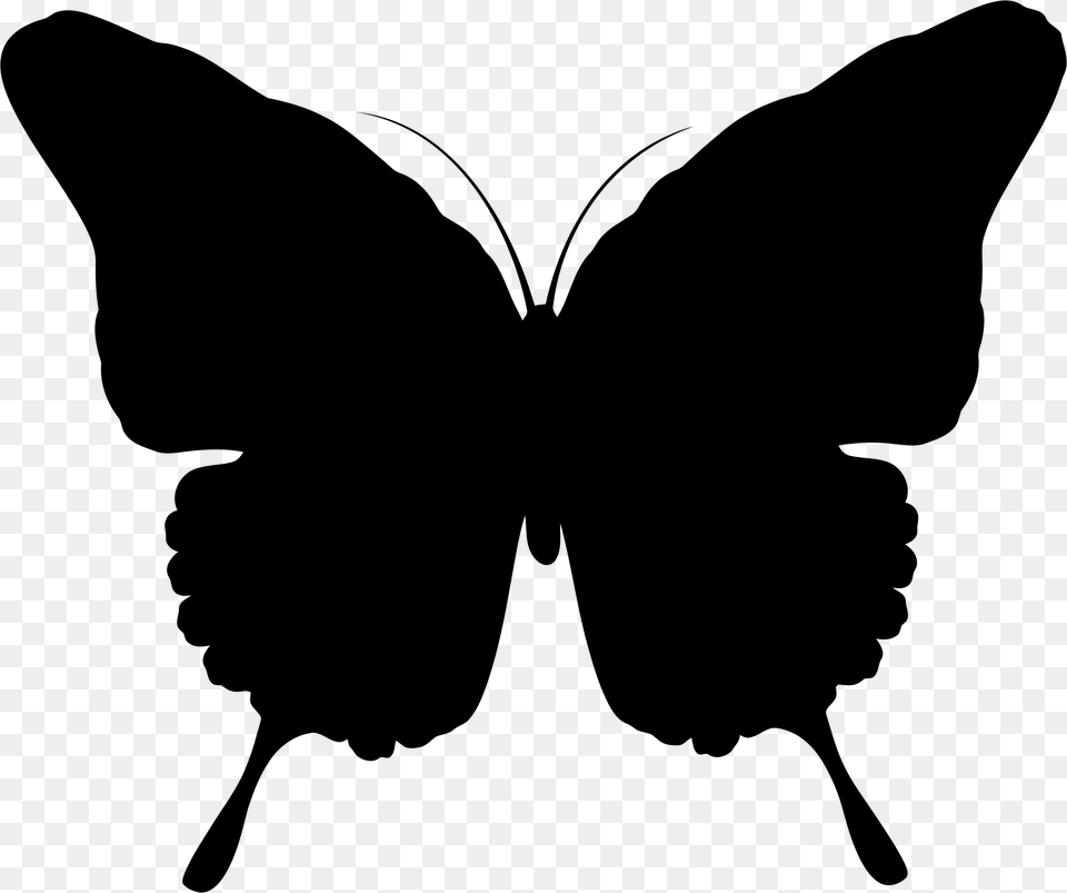 Butterfly Silhouette Butterfly Silhouette, Gray Free Transparent Png