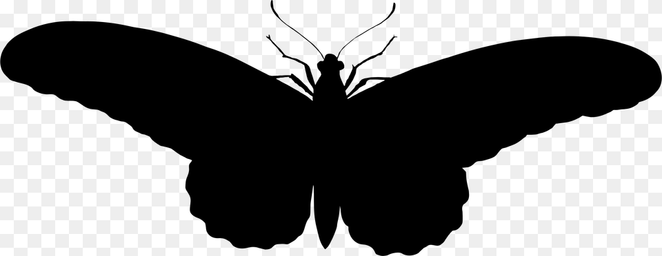 Butterfly Silhouette Clip Art, Gray Png Image