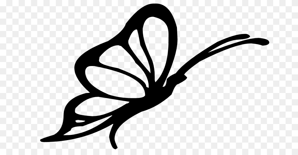 Butterfly Silhouette Clip Art Pics Photos, Gray Free Transparent Png