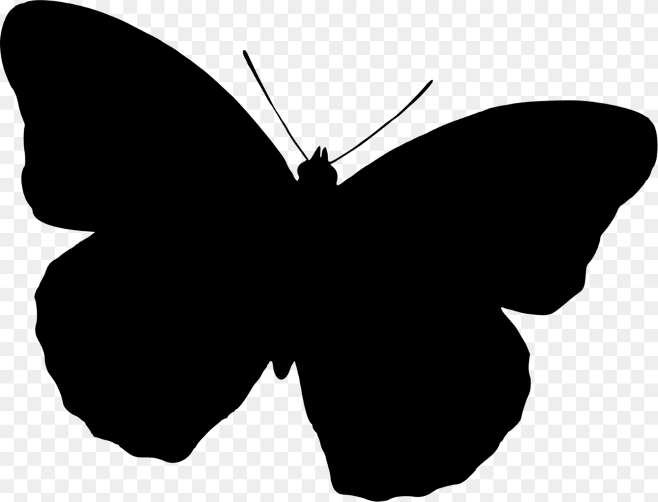 Butterfly Silhouette Drawing Black And White, Gray Free Png