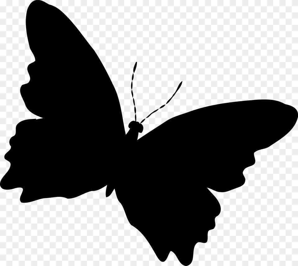 Butterfly Silhouette Drawing Download Computer Icons Butterfly Silhouette No Background, Gray Free Transparent Png