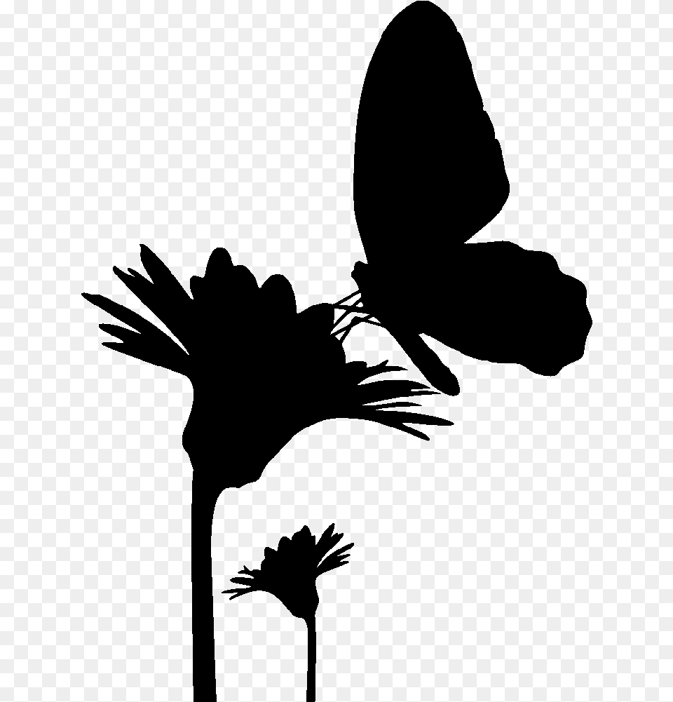 Butterfly Silhouette Drawing Flower With Butterfly Silhouette, Gray Free Png
