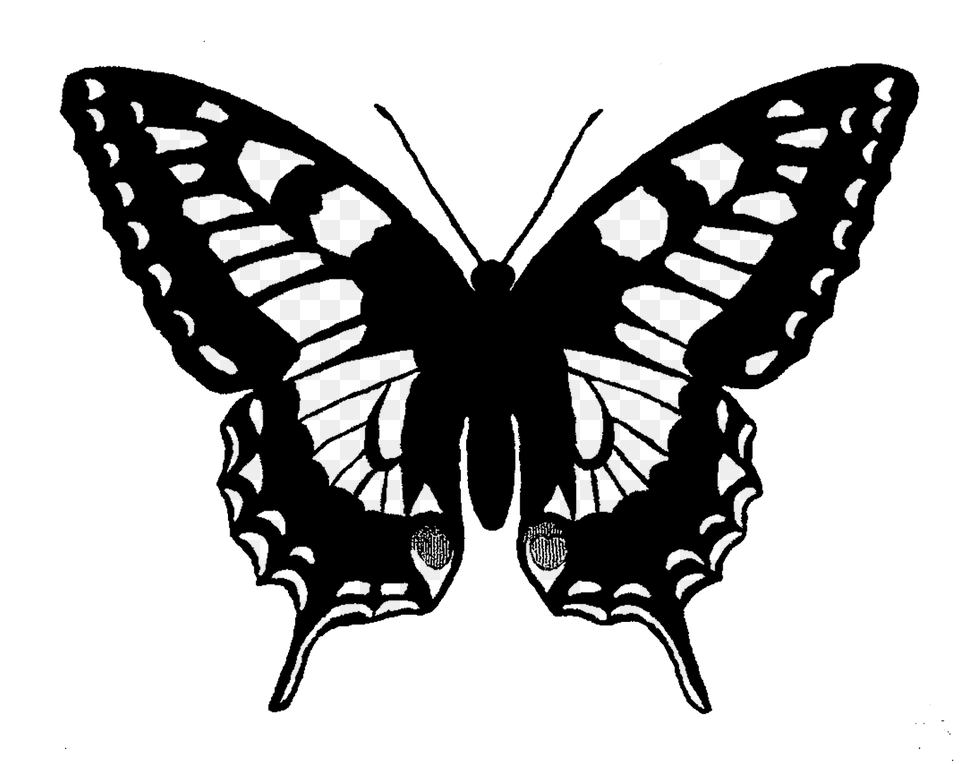 Butterfly Silhouette Mourning Cloak Butterfly Sketch, Stencil, Person Free Png