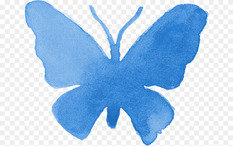 Butterfly Silhouette Transparent Blue Watercolor Butterfly Transparent, Leaf, Plant, Home Decor, Accessories Free Png