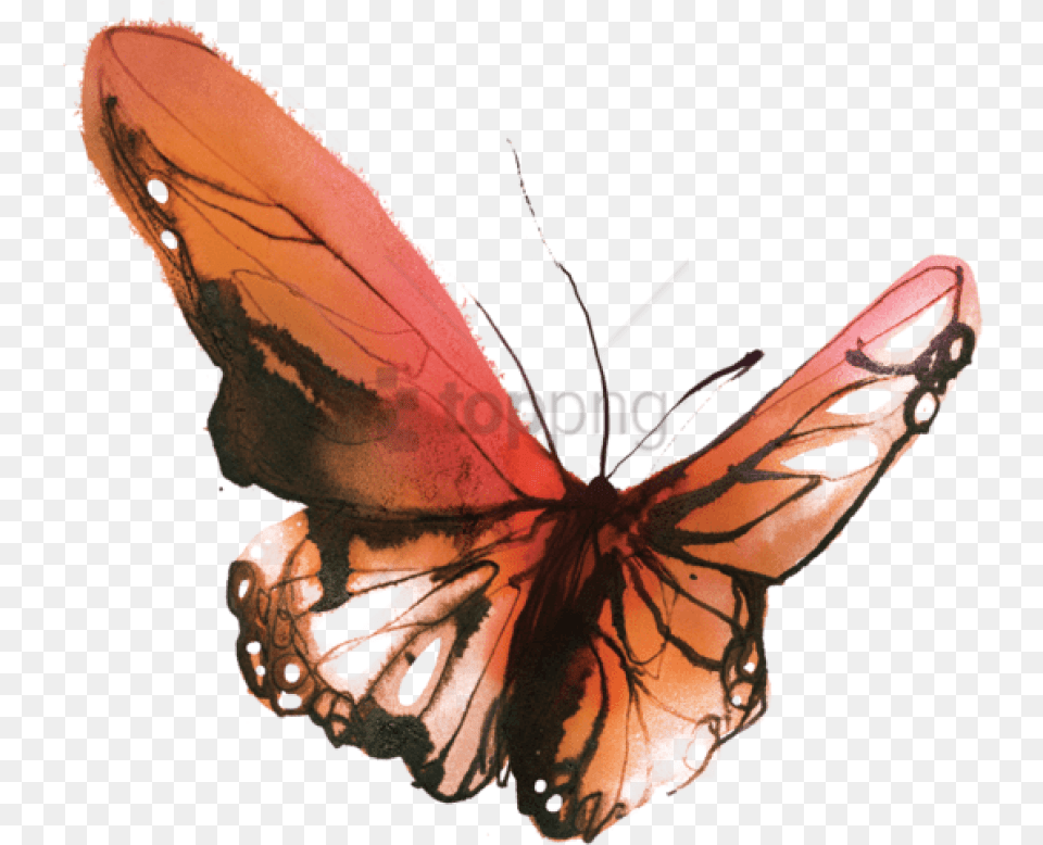 Butterfly Small Watercolor Butterfly Tattoo, Animal, Insect, Invertebrate, Person Free Png