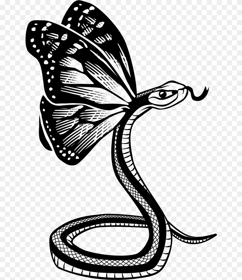Butterfly Snake Final Brush Footed Butterfly, Lighting, Gray, Silhouette Png