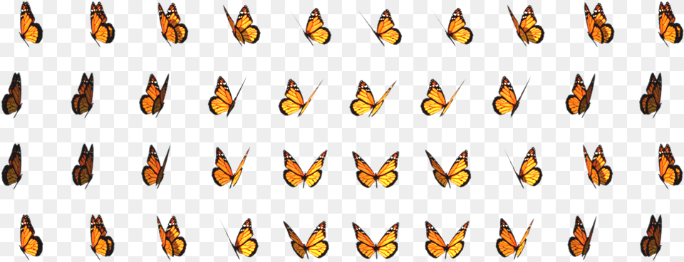 Butterfly Sprite2 Butterfly Sprite Sheet, Animal, Insect, Invertebrate, Monarch Png Image