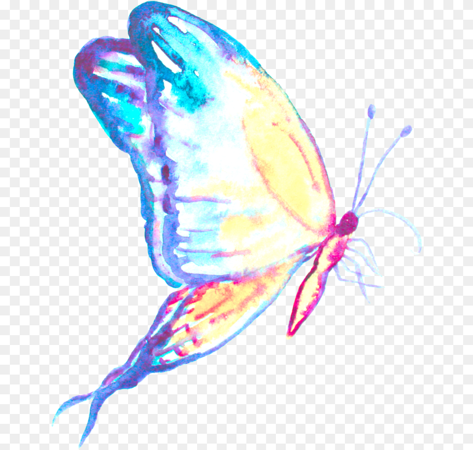 Butterfly Tattoo Insect Blue Ulysses Butterfly Tattoo Animal, Invertebrate Free Transparent Png
