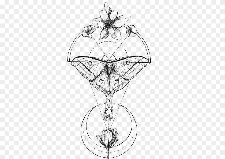 Butterfly Tattoo Moth Geometry Luna Retro Drawing Clipart Luna Moth Tattoo Line, Art, Accessories, Chandelier, Lamp Png