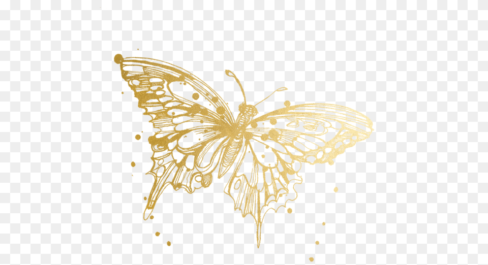 Butterfly Tattoos Temporary Accept Transparent Gold Butterfly, Animal, Insect, Invertebrate, Art Png Image