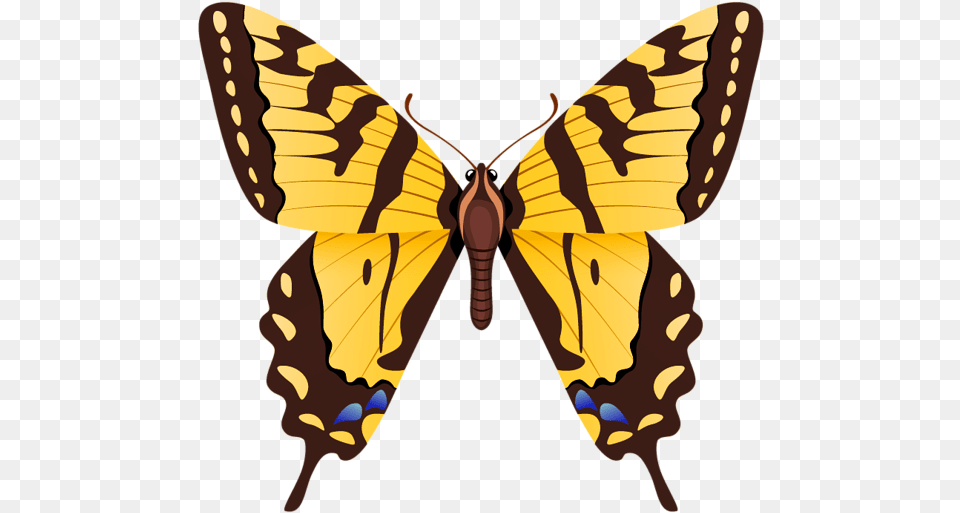 Butterfly Tiger Swallowtail, Animal, Insect, Invertebrate, Moth Free Transparent Png