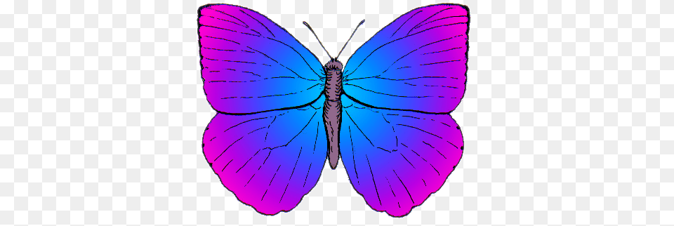 Butterfly Top Psf Artistic License, Person, Animal, Insect, Invertebrate Free Png Download