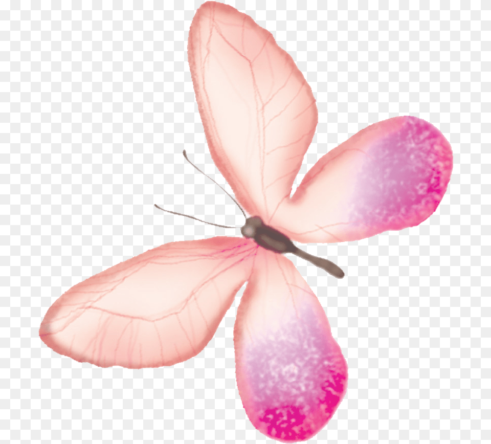 Butterfly Transparency And Translucency Pink Butterfly Watercolor Backgrounds, Flower, Petal, Plant, Anther Png Image