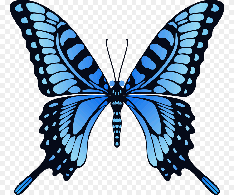 Butterfly Transparent Background Play Animated Gif Animation Butterfly Gif, Animal, Insect, Invertebrate, Spider Png Image