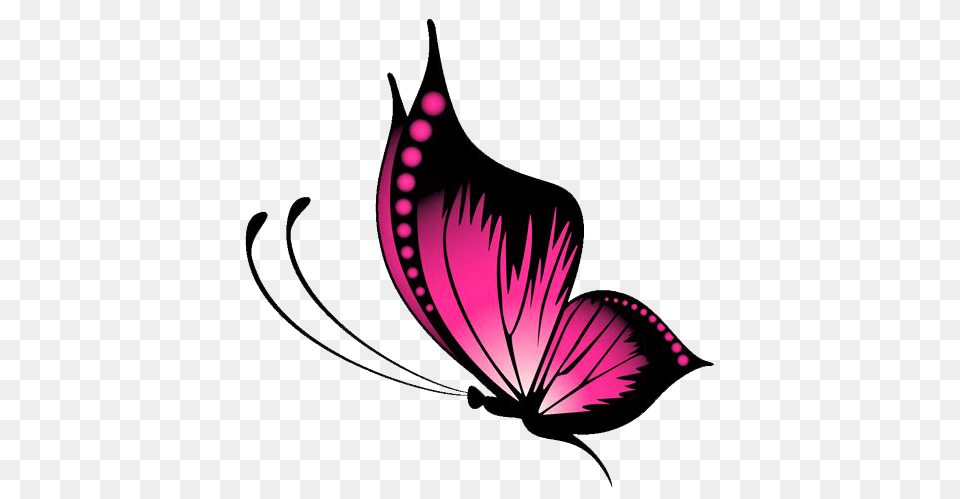 Butterfly Transparent Butterfly Images, Graphics, Art, Plant, Flower Png