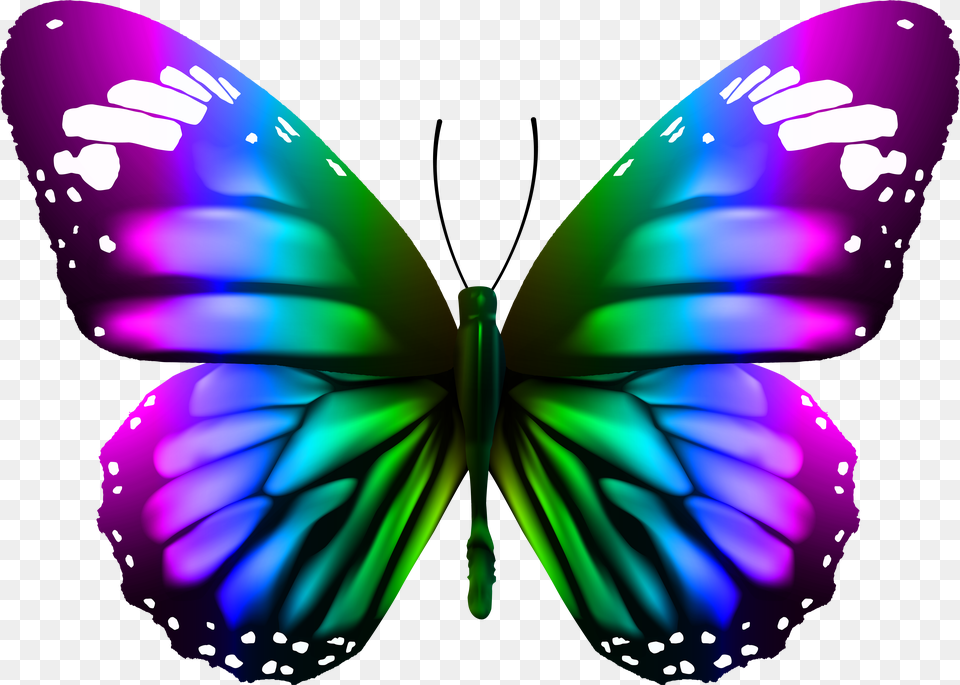 Butterfly Transparent Clipart Photo Top Monarch Butterfly Free Png Download