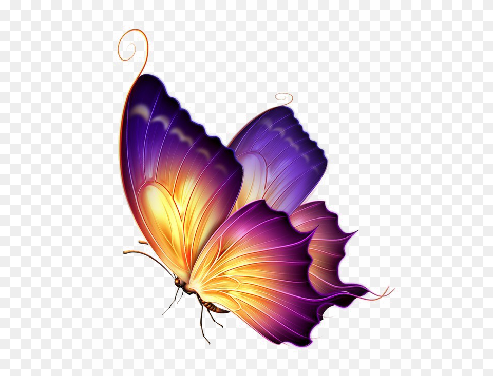 Butterfly Transparent Arts, Art, Floral Design, Graphics, Pattern Png Image