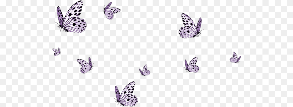 Butterfly Tumblr Ftestickers Sticker Pink Flying Butterfly Png