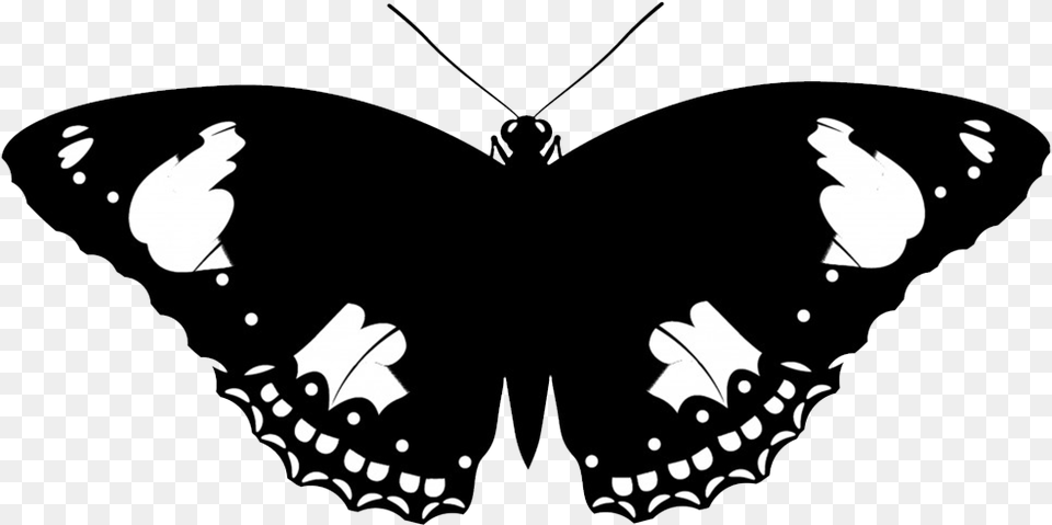 Butterfly Vector, Animal, Insect, Invertebrate Free Transparent Png