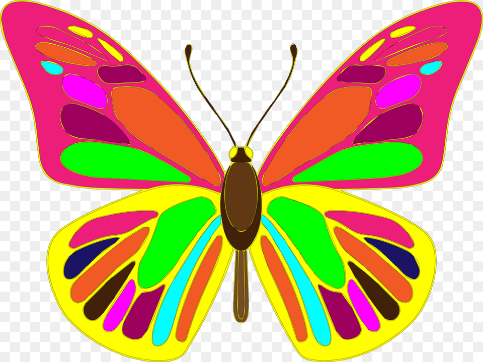 Butterfly Vector Art Butterfly Vector, Animal, Insect, Invertebrate, Moth Free Png Download